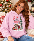 Santa Snacks Make Christmas Magical Hoodie